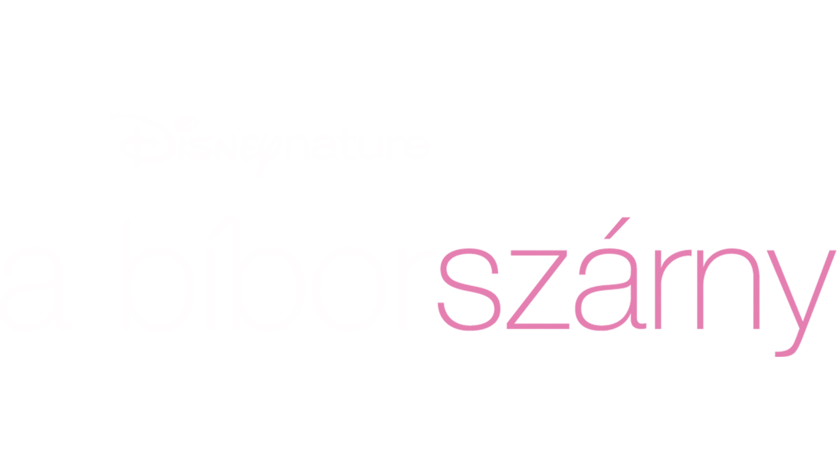 A Bíbor szárny