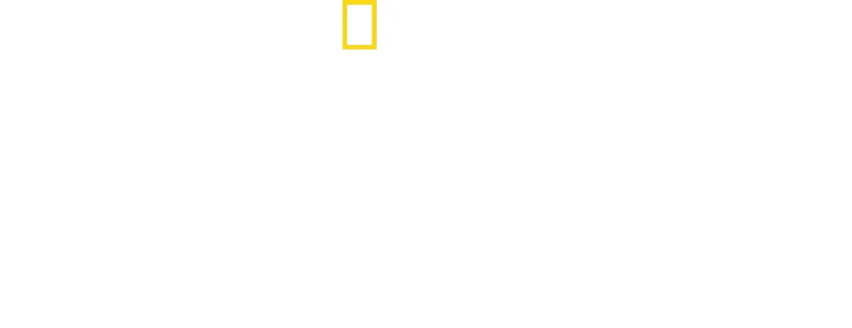 Apărând Europa
