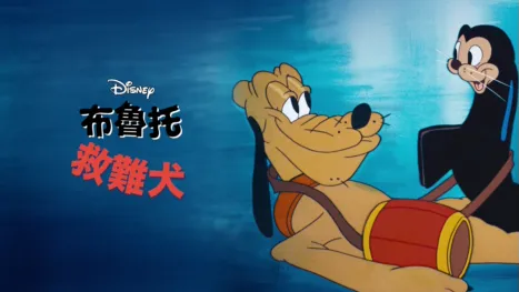 thumbnail - 救難犬