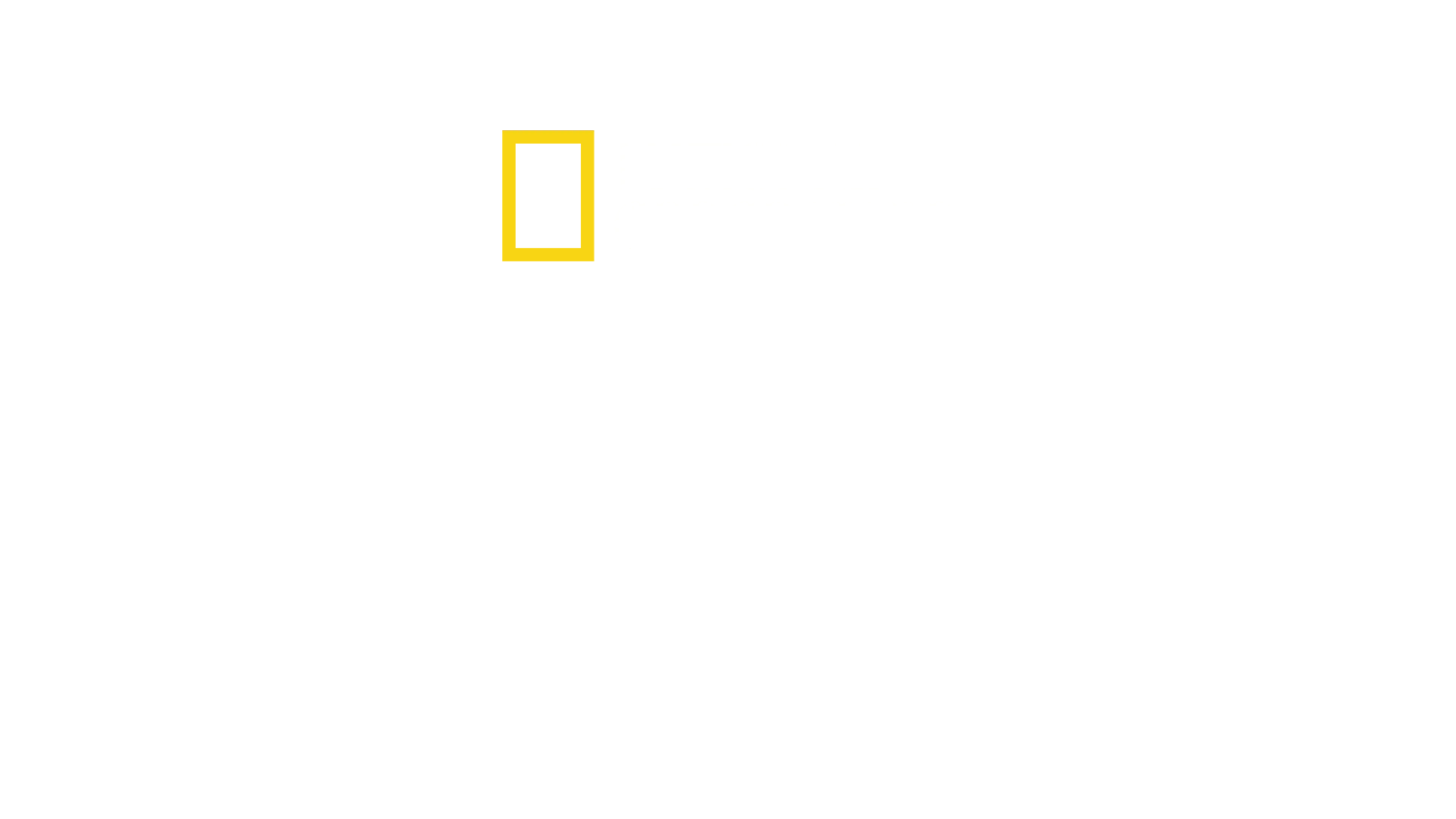 虎鯊世界