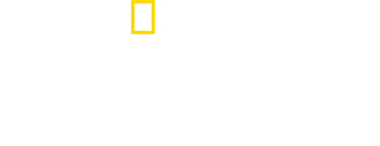 虎鯊世界