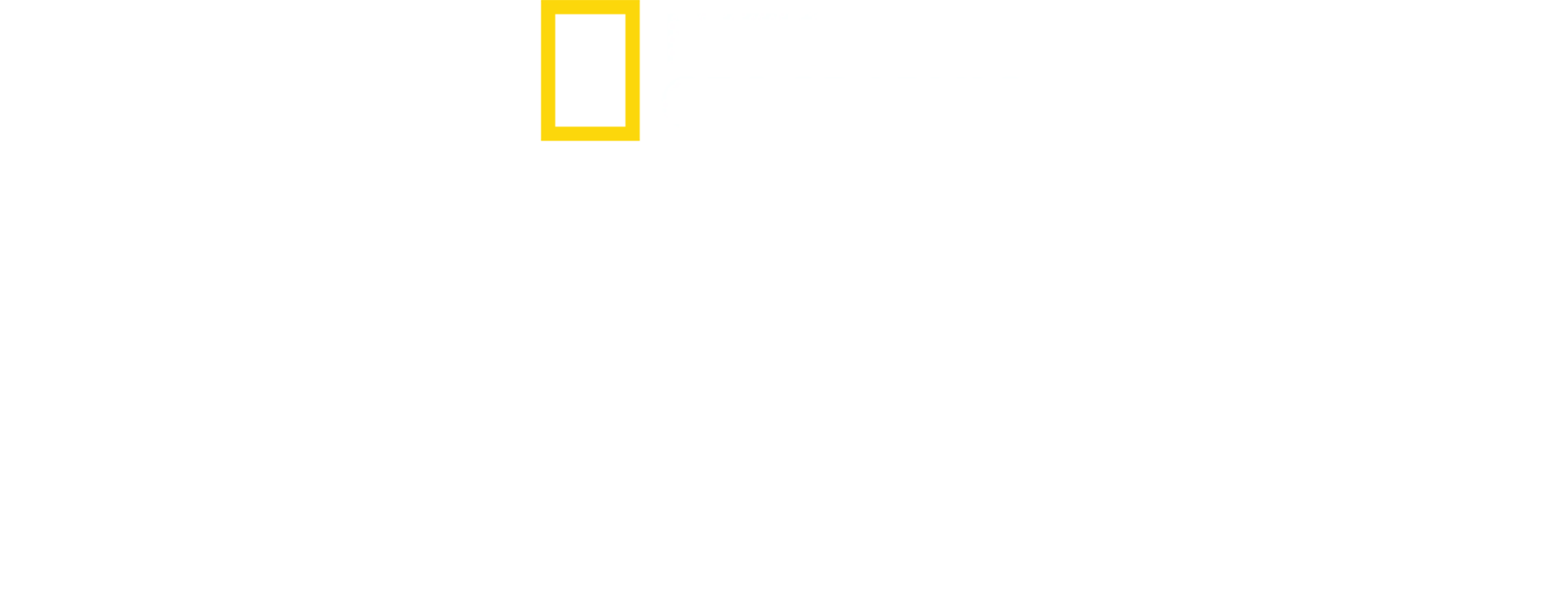 虎鯊世界