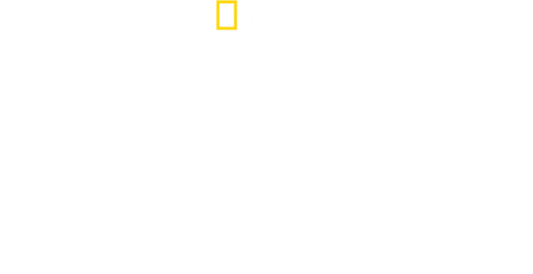 Vahşi Yolculuk: Yellowstone