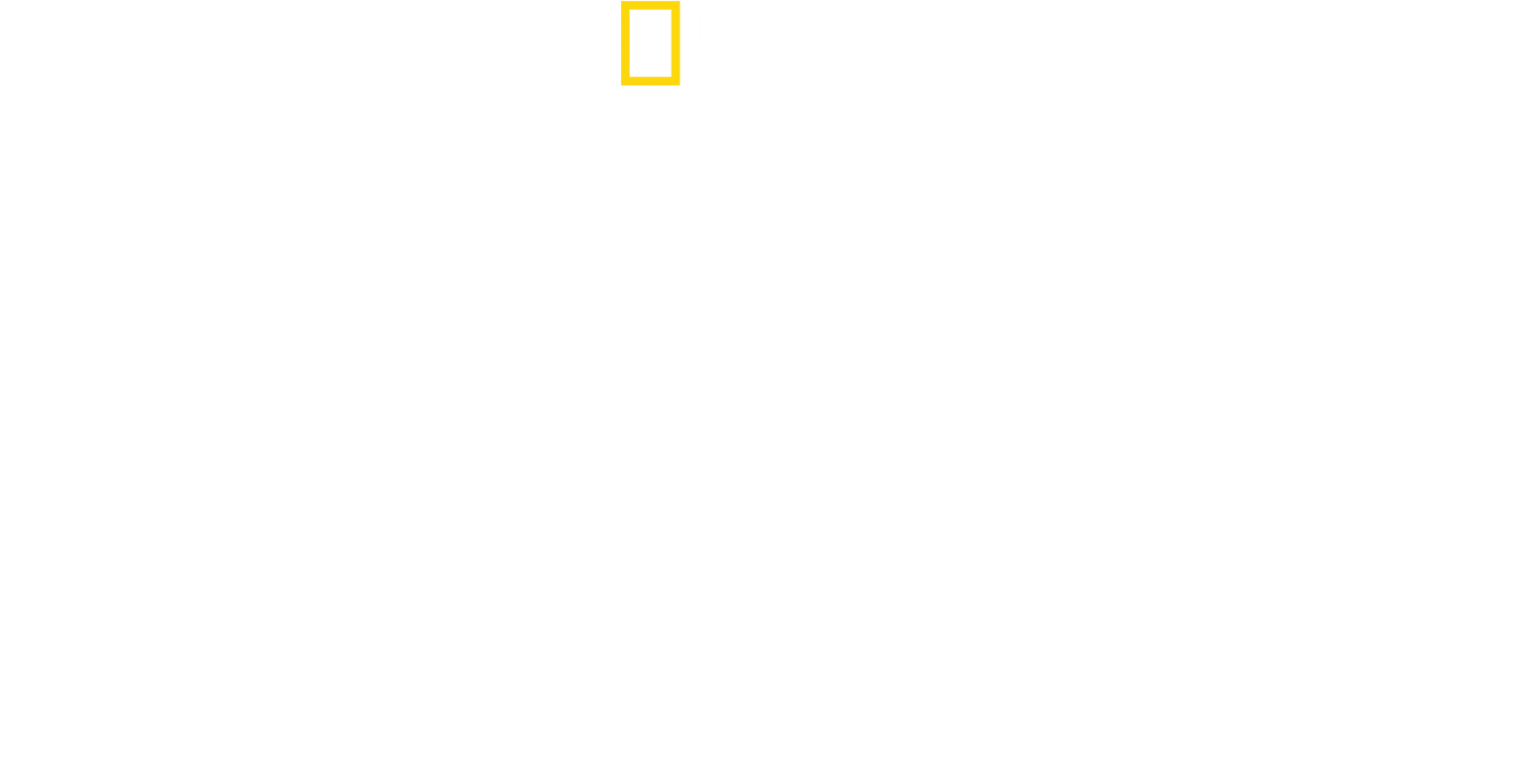 Vahşi Yolculuk: Yellowstone
