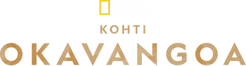 Kohti Okavangoa