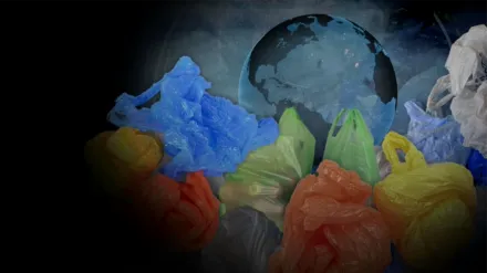 Trashed: The Secret Life of Plastic Exports