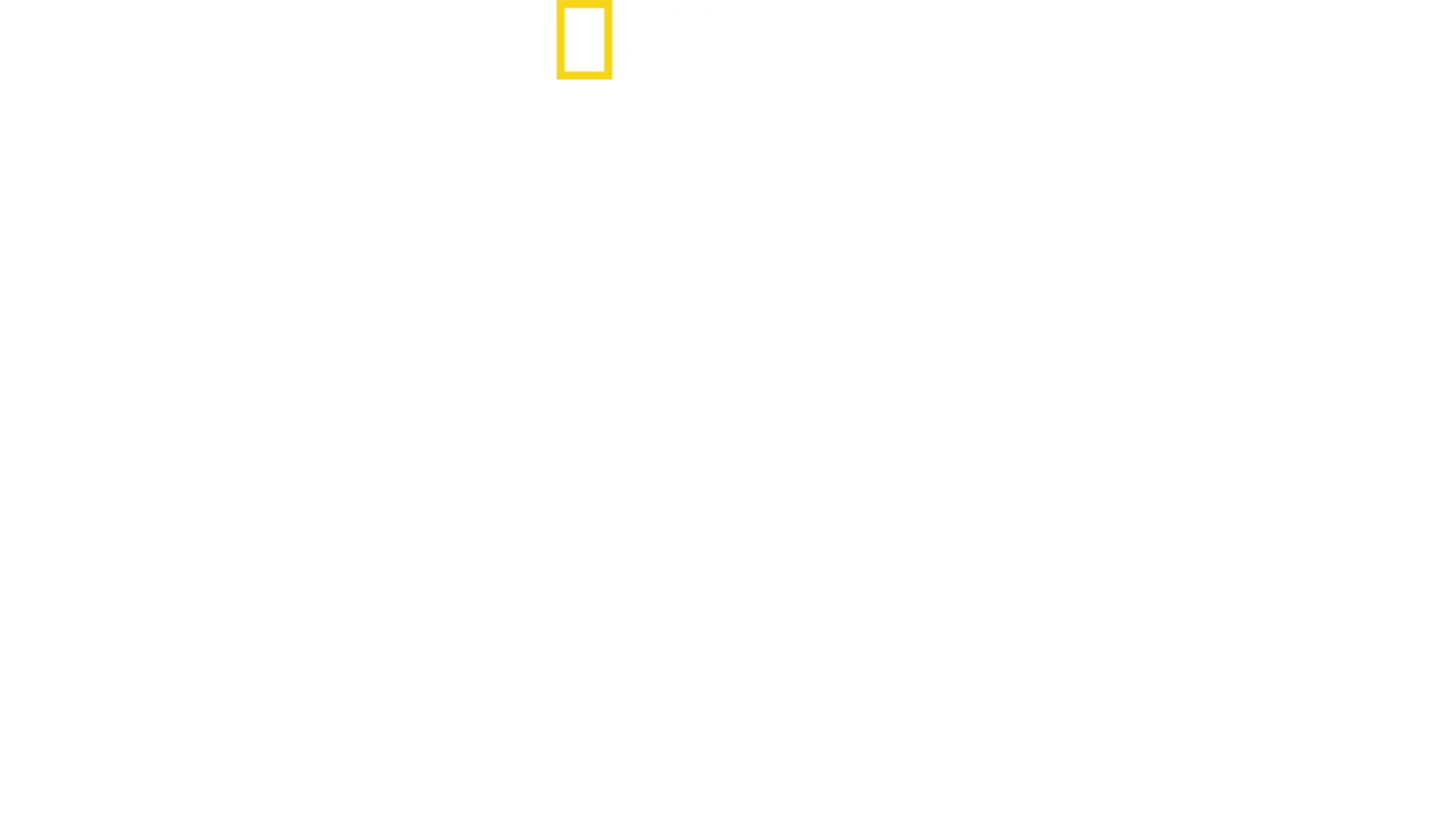 World's Deadliest Snakes