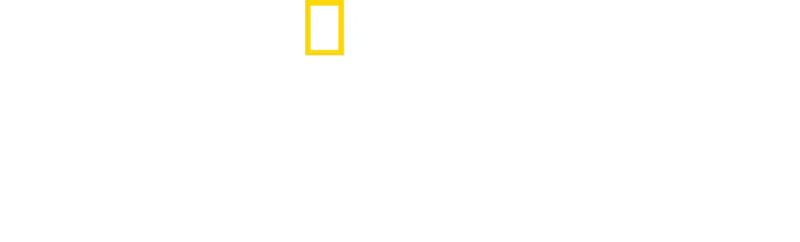 The Rescue