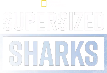Supersized Sharks