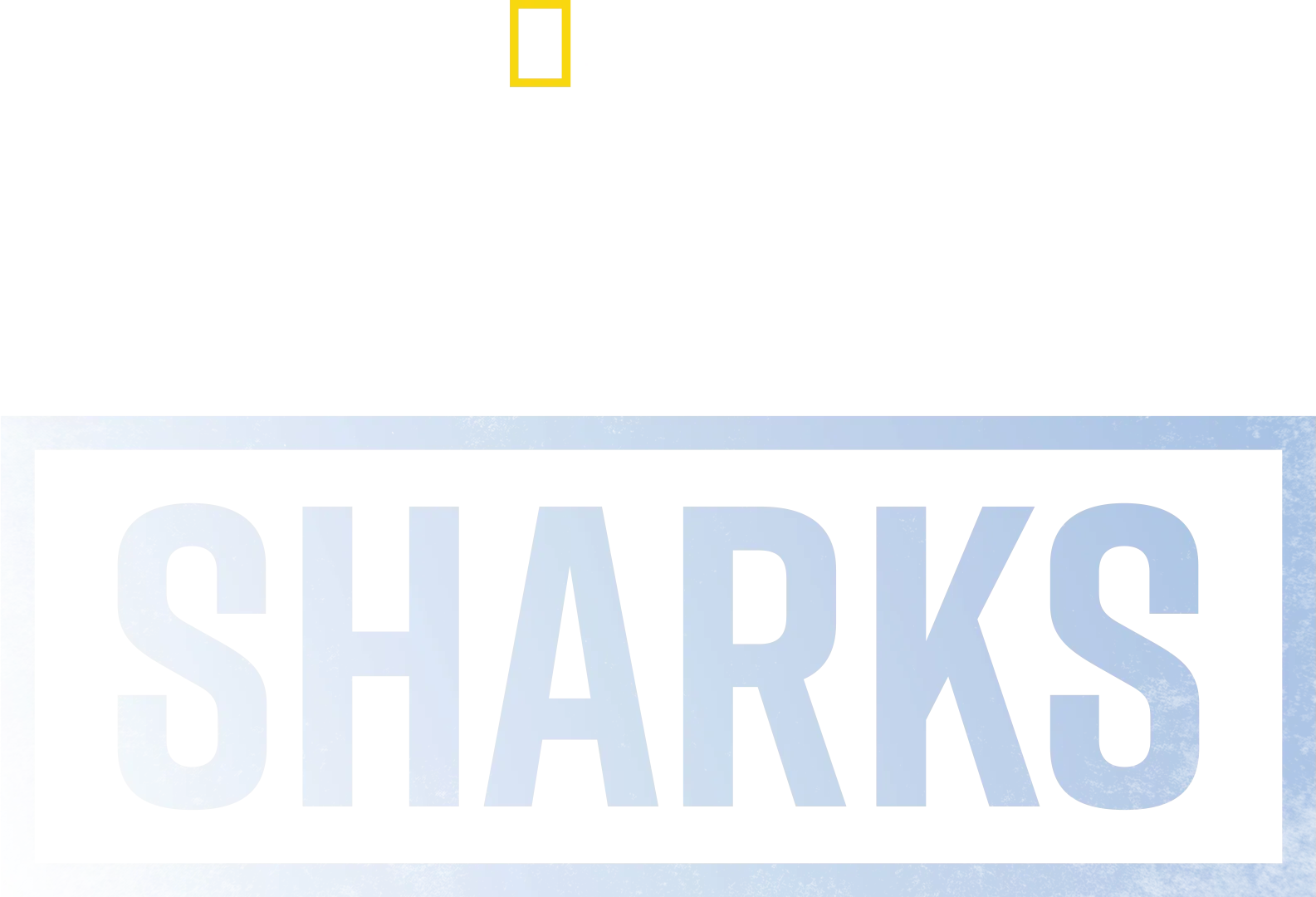 Supersized Sharks