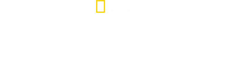 Riding Britain's Railways