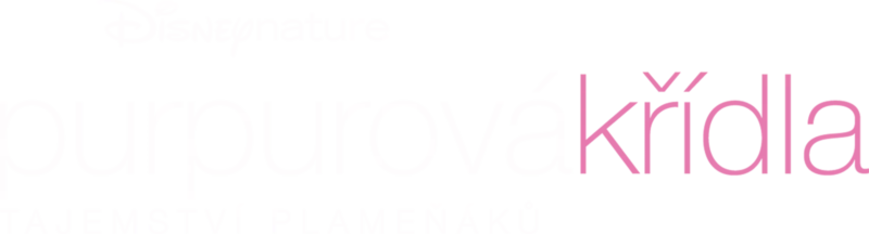 Purpurová křídla, tajemství plameňáků