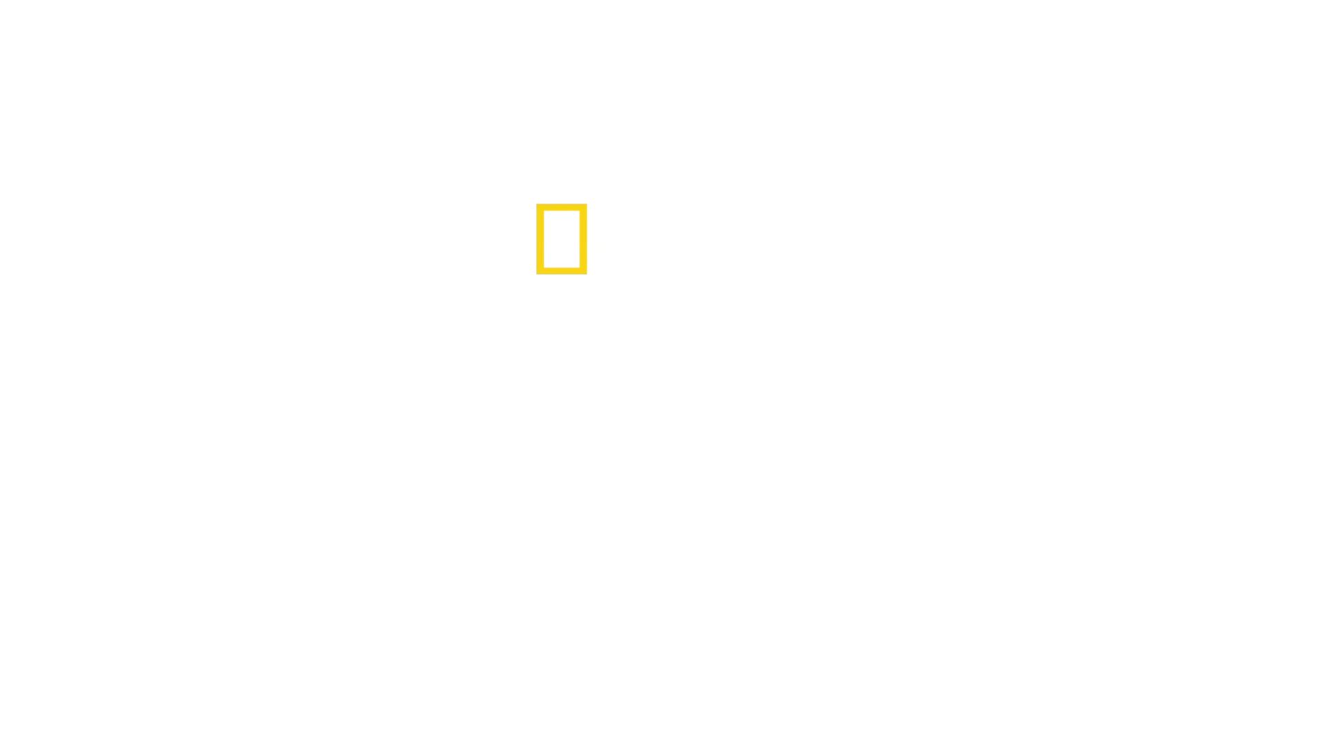 Top Guns: The Next Generation
