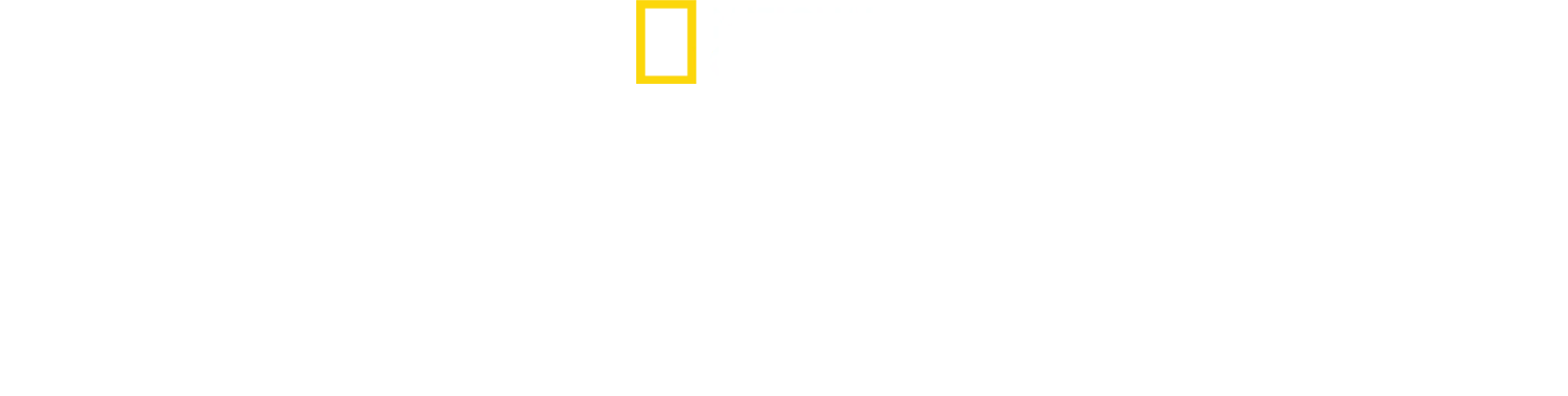 Top Guns: The Next Generation