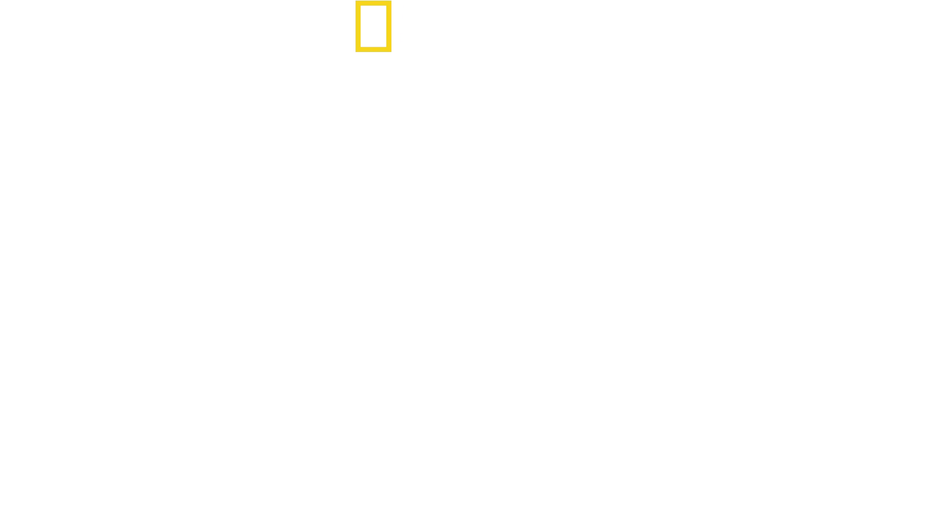 Bertie Gregory Yunuslar ile Yüz Yüze