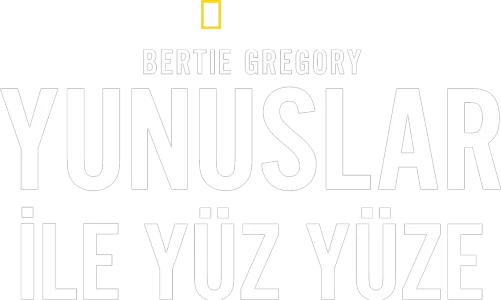 Bertie Gregory Yunuslar ile Yüz Yüze
