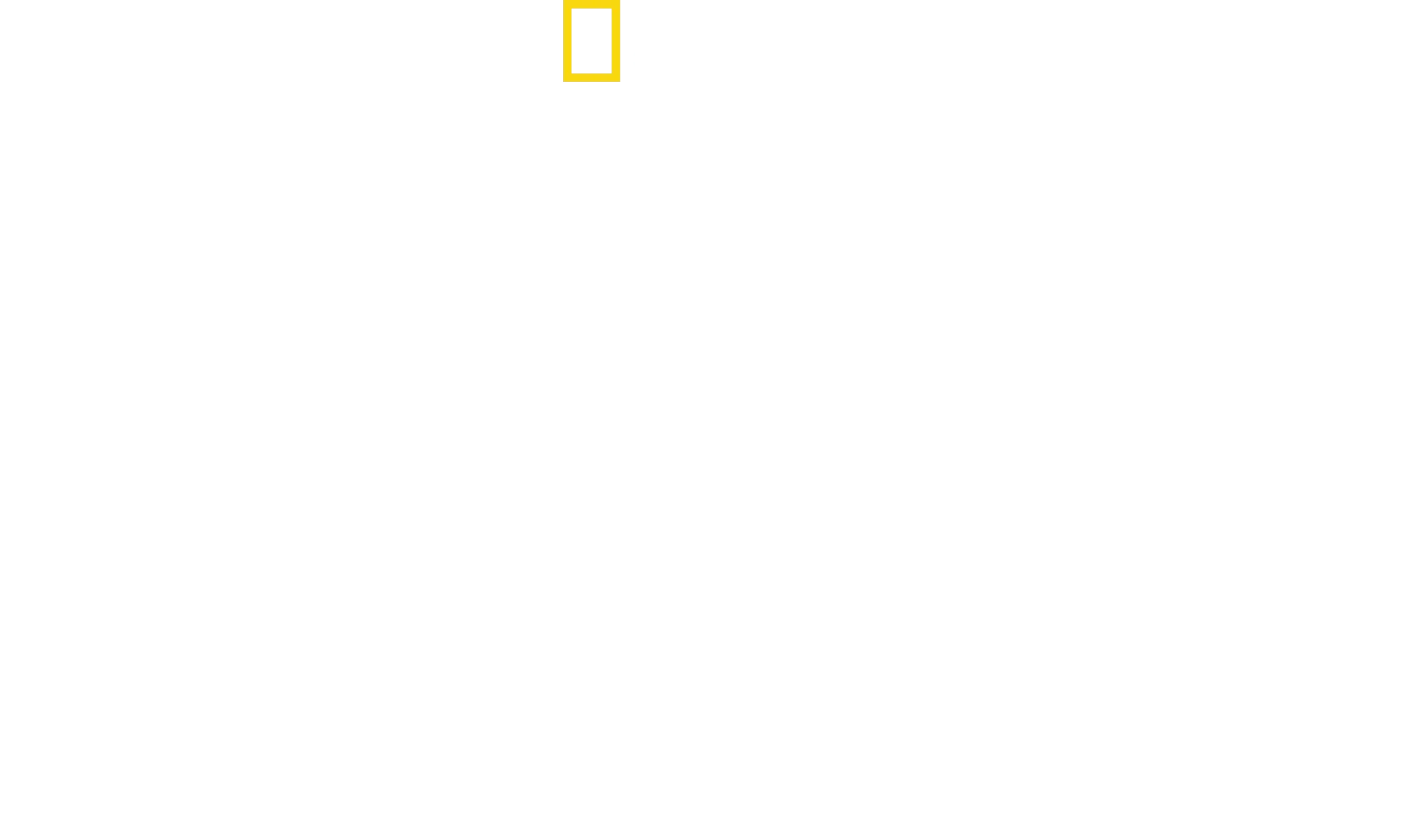 Bertie Gregory Yunuslar ile Yüz Yüze