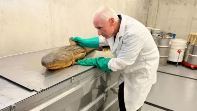 thumbnail - S1:E2 California Crisis