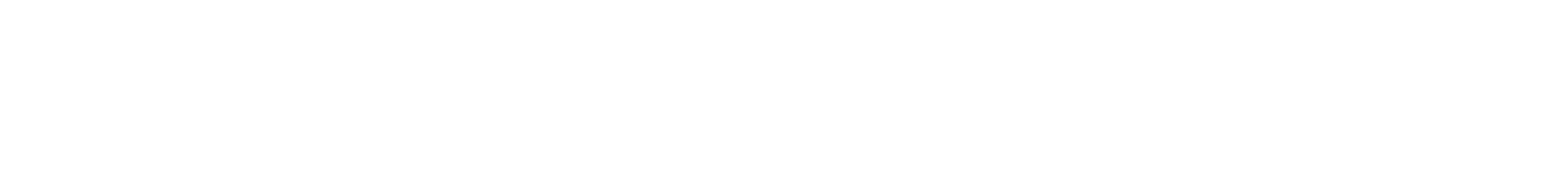 Die Unsichtbaren