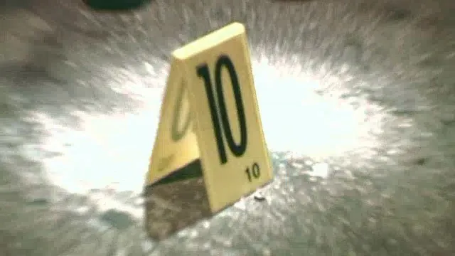 thumbnail - M2:Ep10 Murder in the Driveway / Double Shooting in the Beans