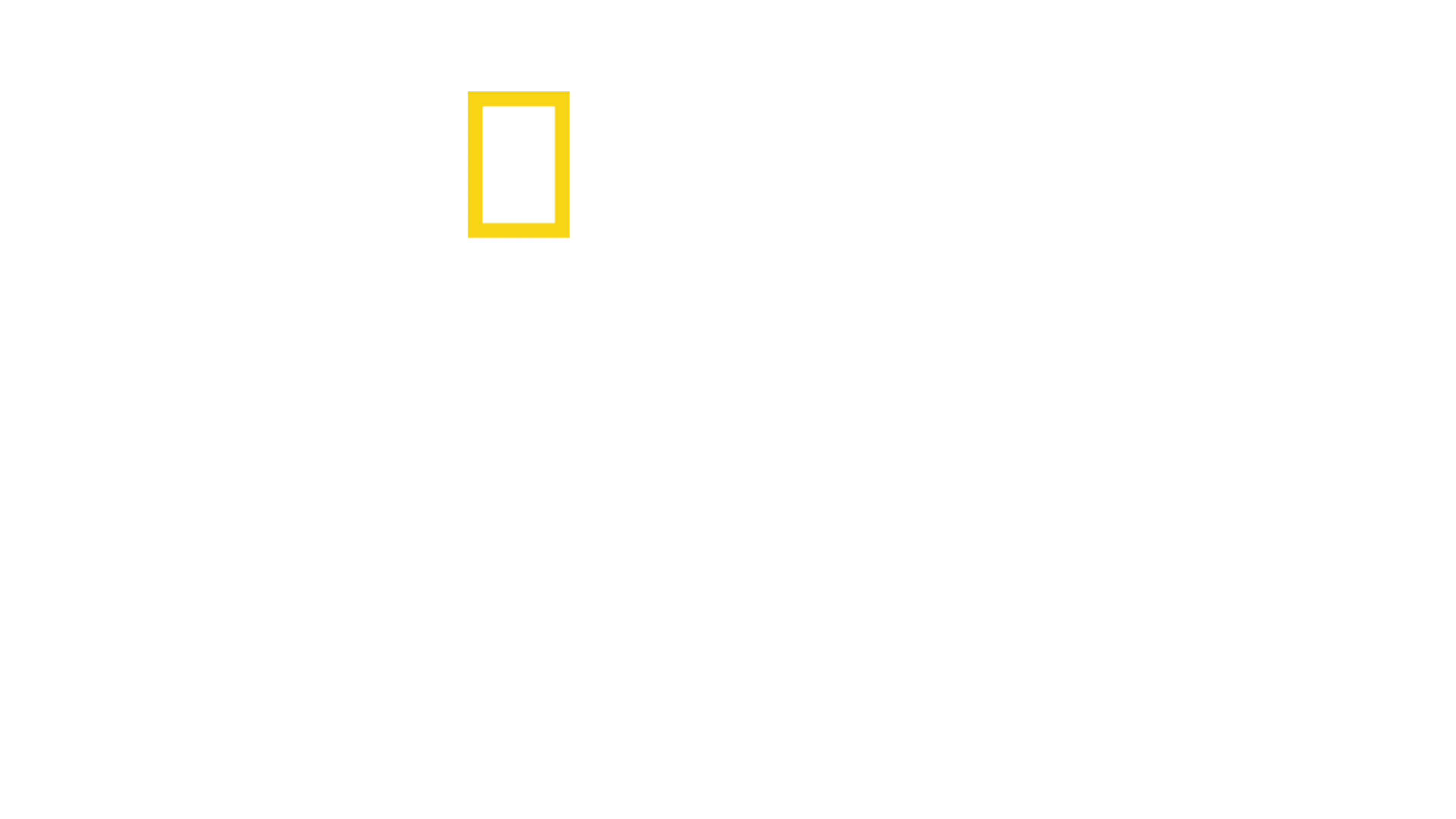Stažení vojsk