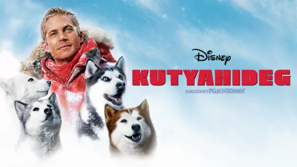 thumbnail - Kutyahideg