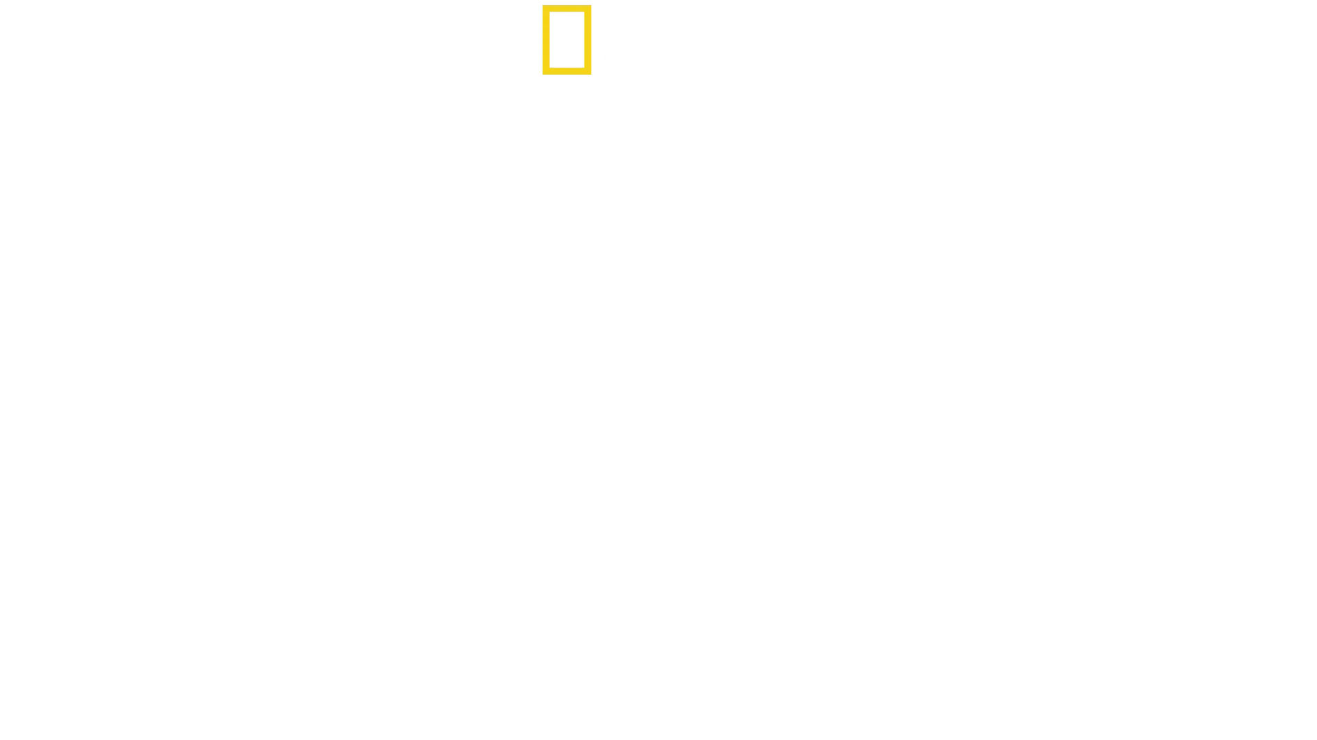 Sud America: Gli animali più strani