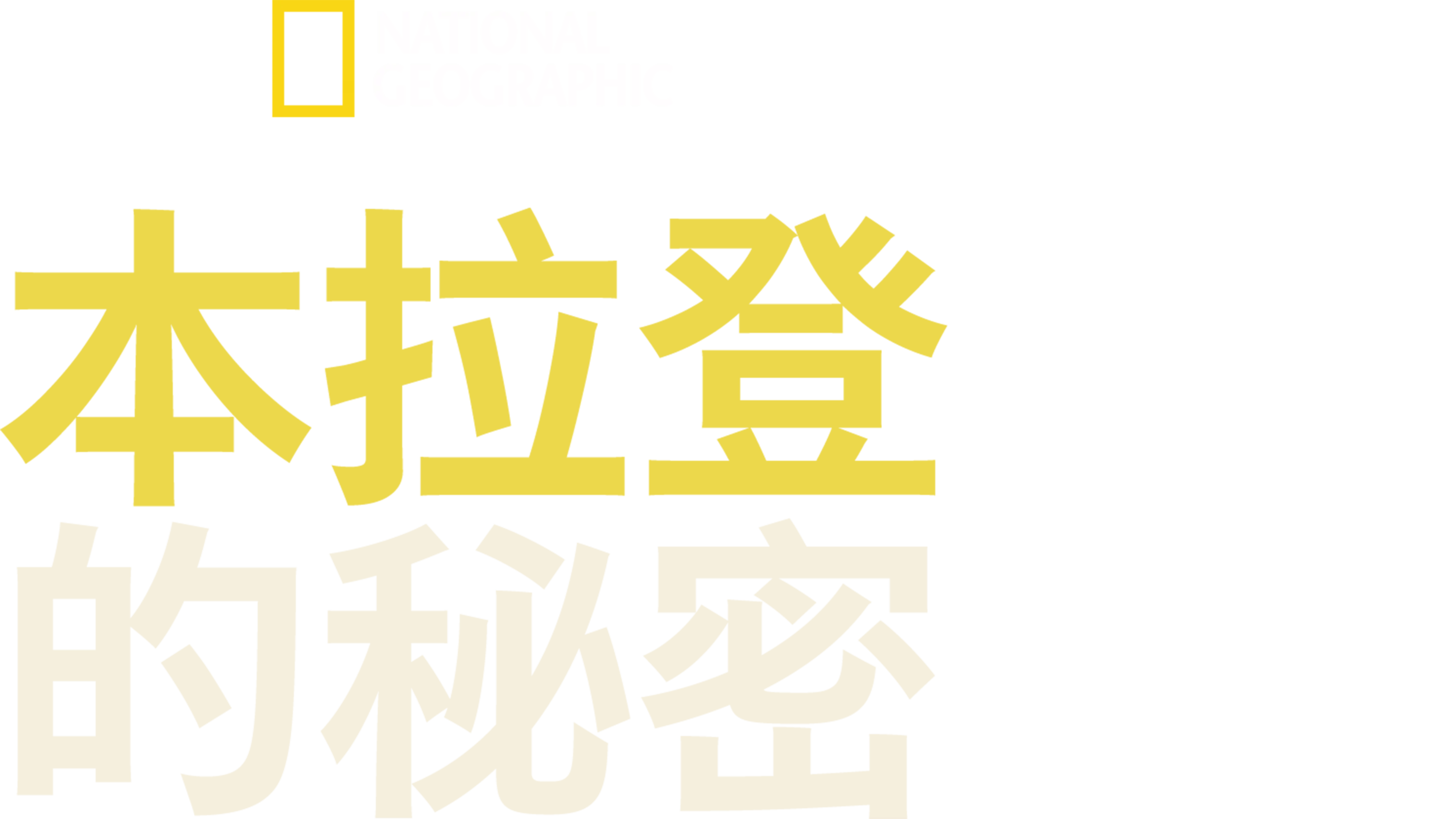 本拉登的秘密