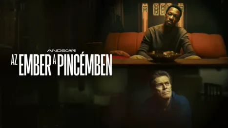 thumbnail - Az ember a pincémben