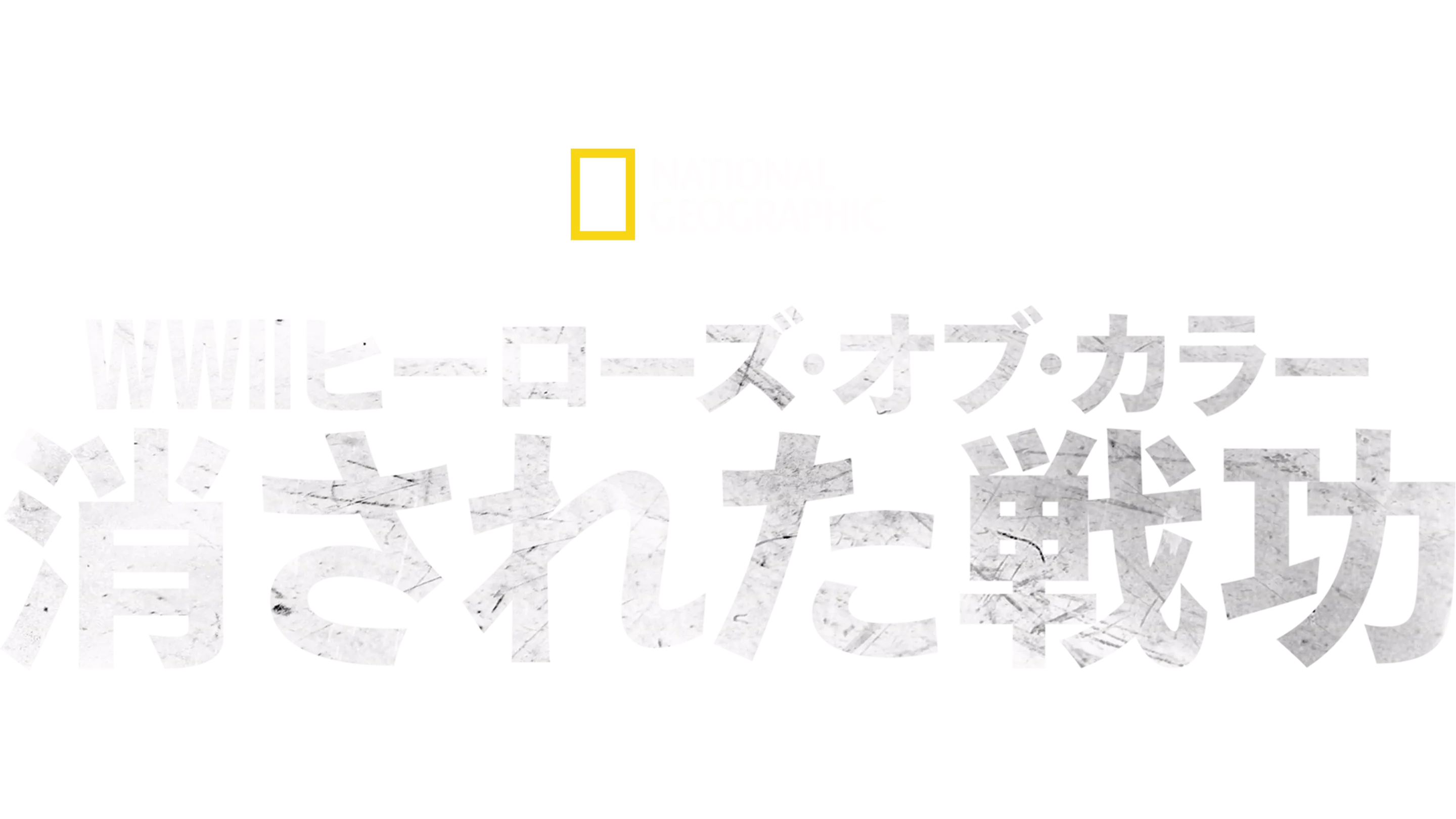 WWⅡヒーローズ・オブ・カラー：消された戦功
