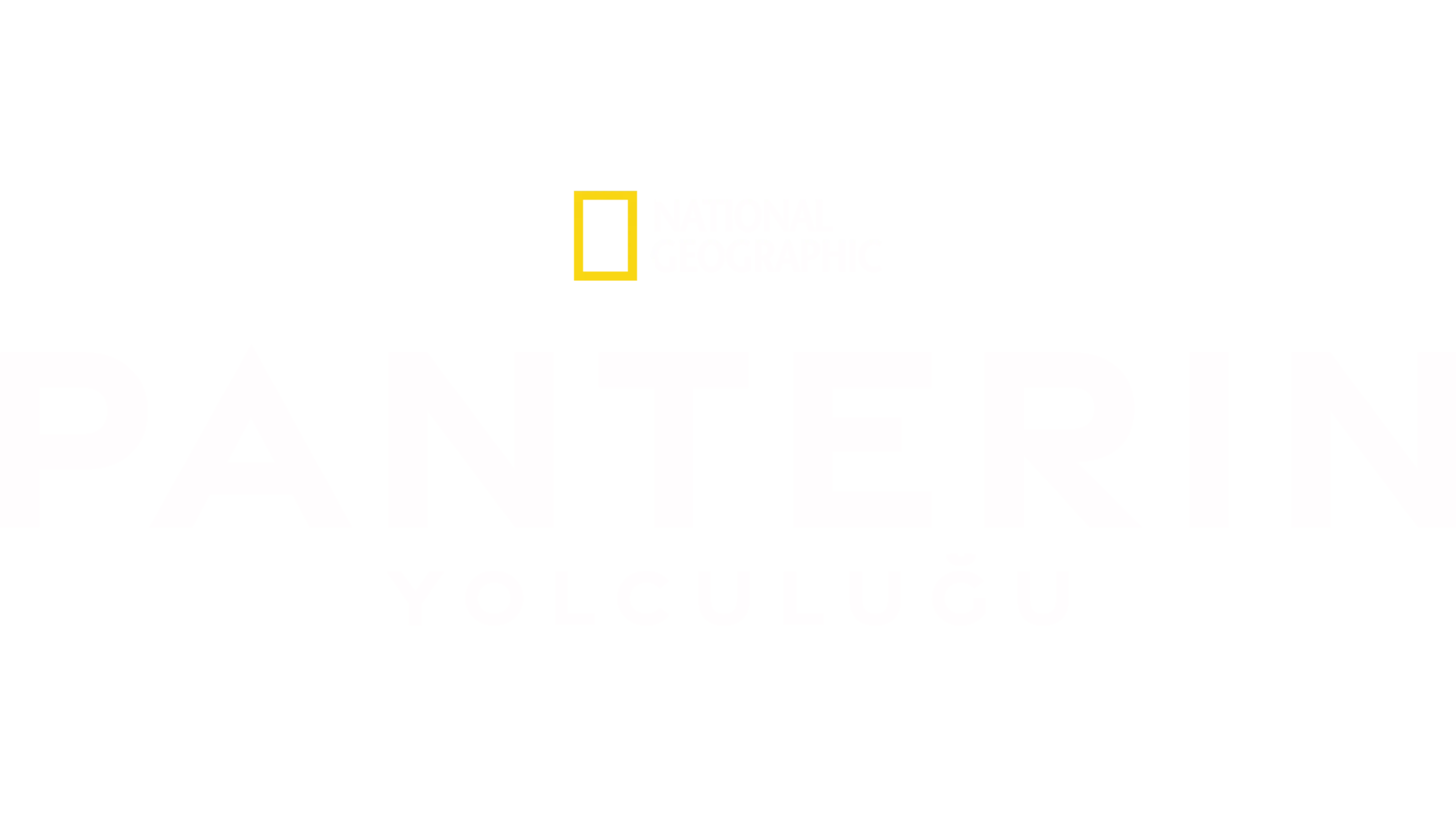 Panterin Yolculuğu