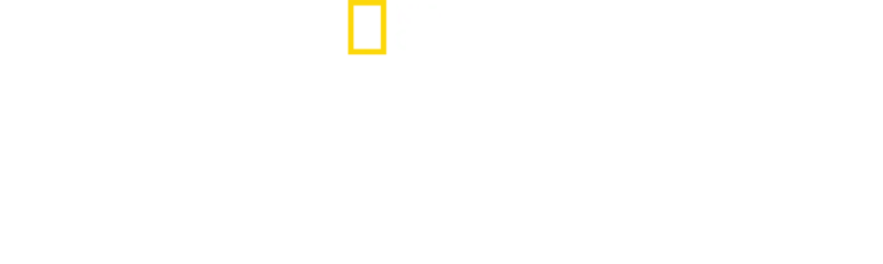 Panterin Yolculuğu