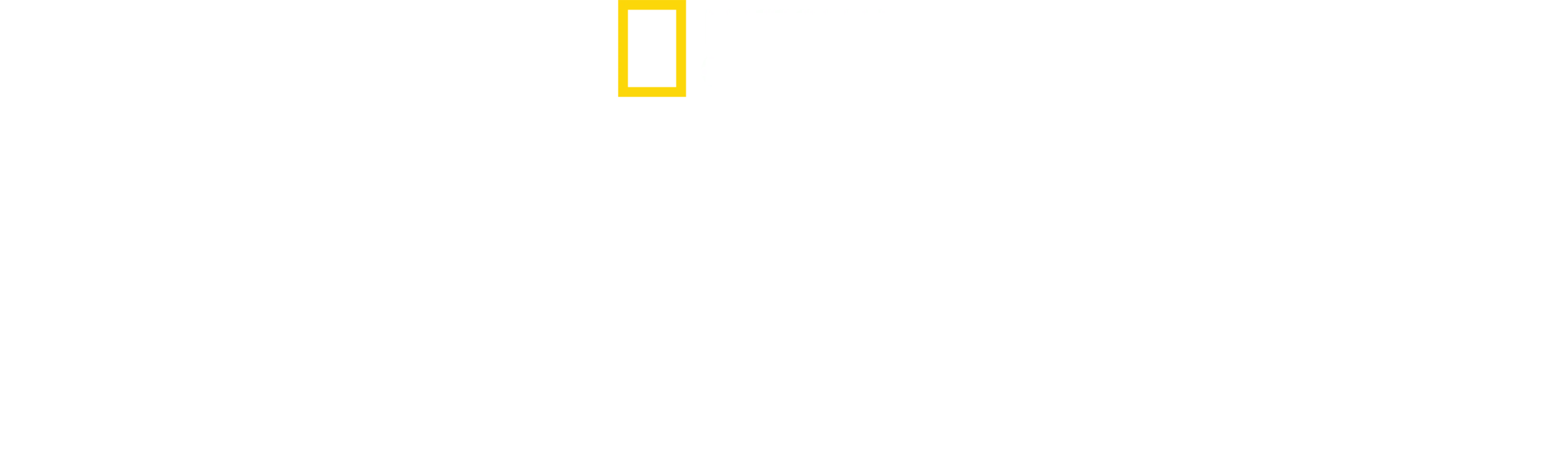 Panterin Yolculuğu