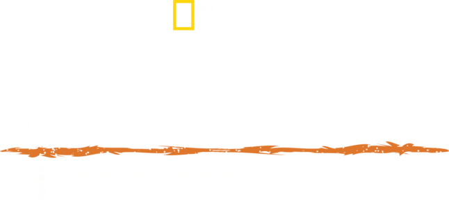 Extreme Survival mit Hazen Audel: Über die Anden