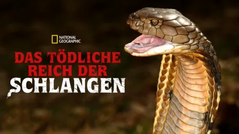 thumbnail - Das tödliche Reich der Schlangen