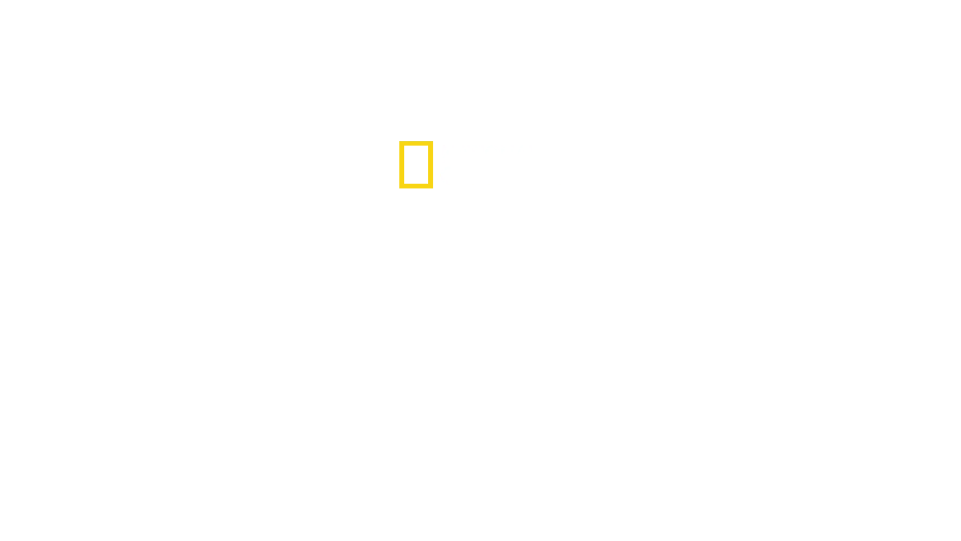 Sin censura