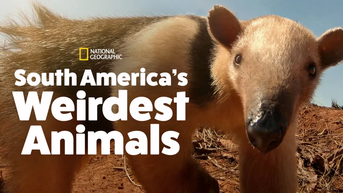 Watch South America's Weirdest Animals | Disney+