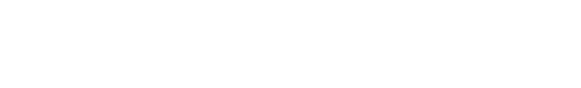 ハンガン警察