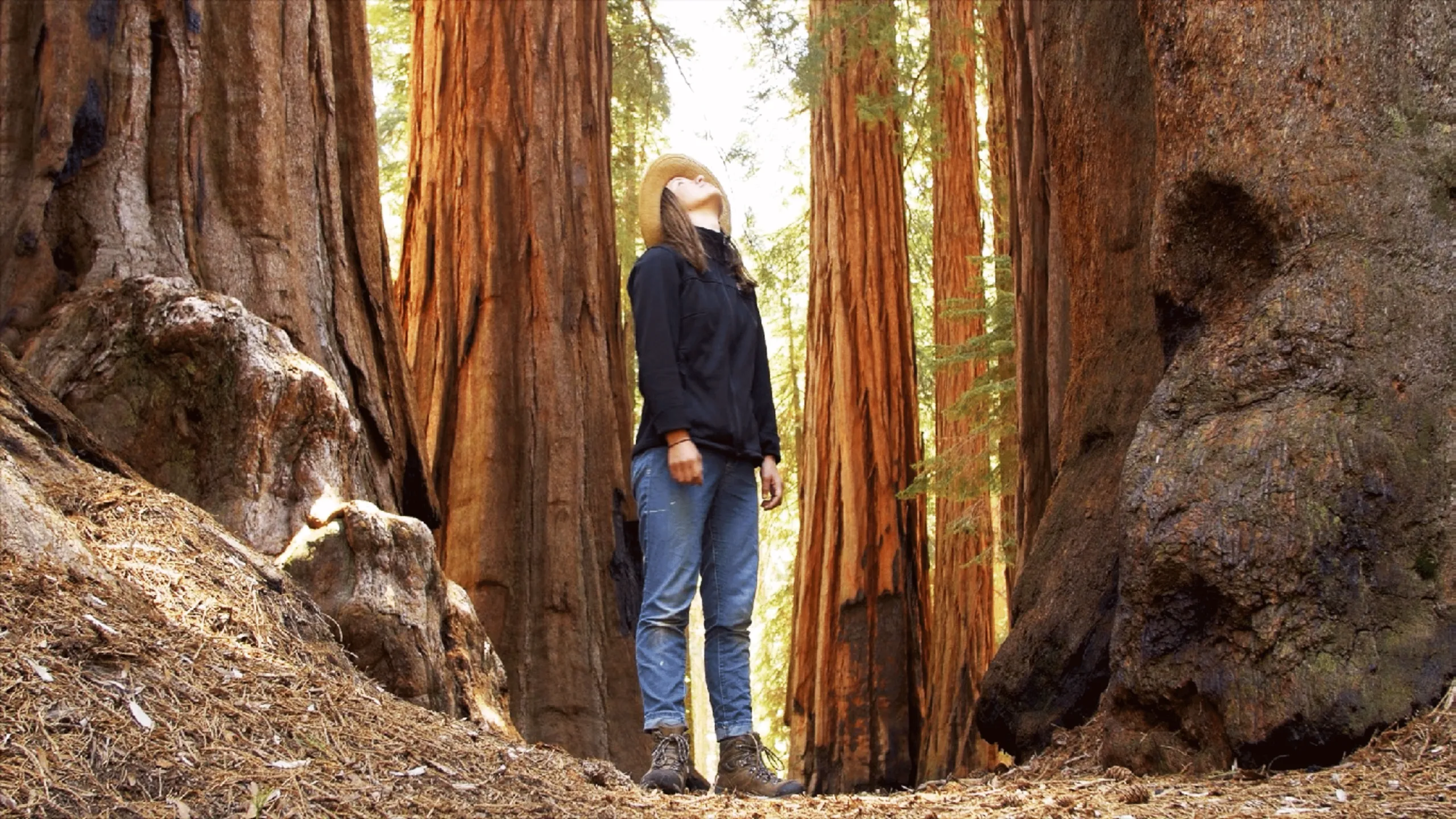 thumbnail - S1:E4 Sequoia National Park