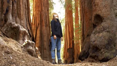 thumbnail - S1:E4 Sequoia National Park