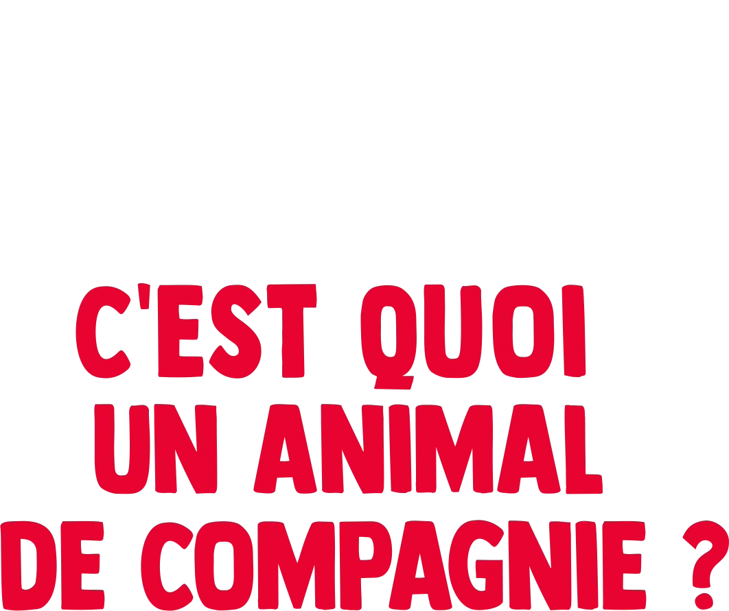Fourchette se pose des questions : c'est quoi un animal de compagnie ?