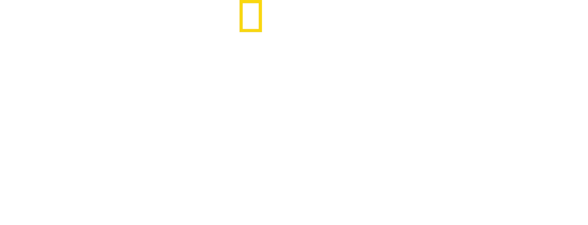 World Eats Bread