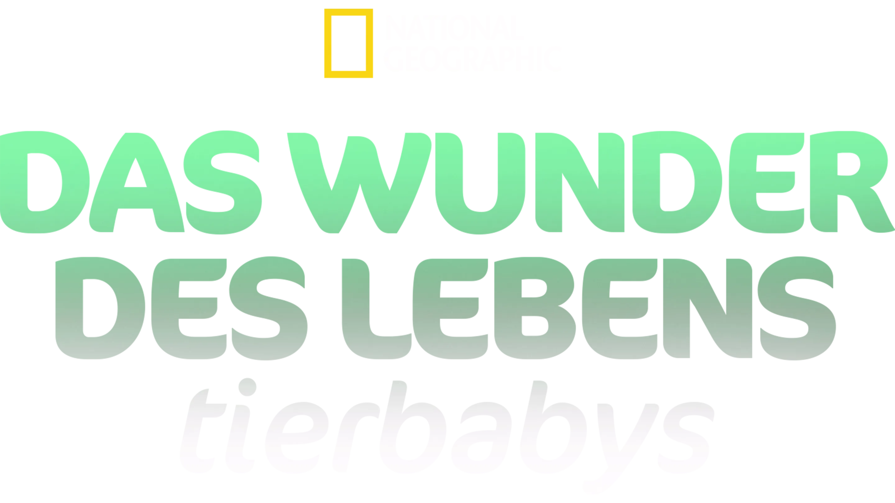 Das Wunder des Lebens: Tierbabys