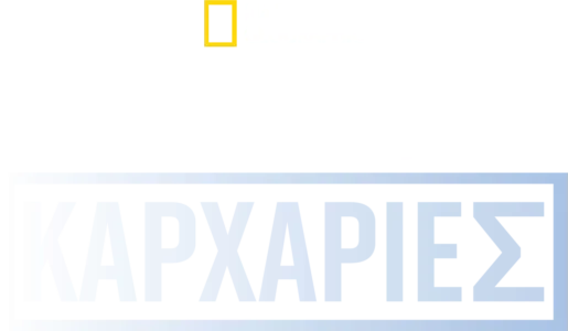 Υπερμεγέθεις Καρχαρίες