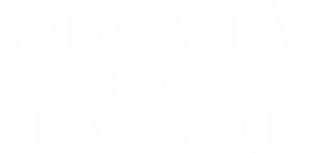 Odvaha pod palbou