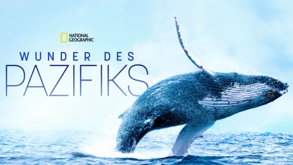 thumbnail - Wunder des Pazifiks