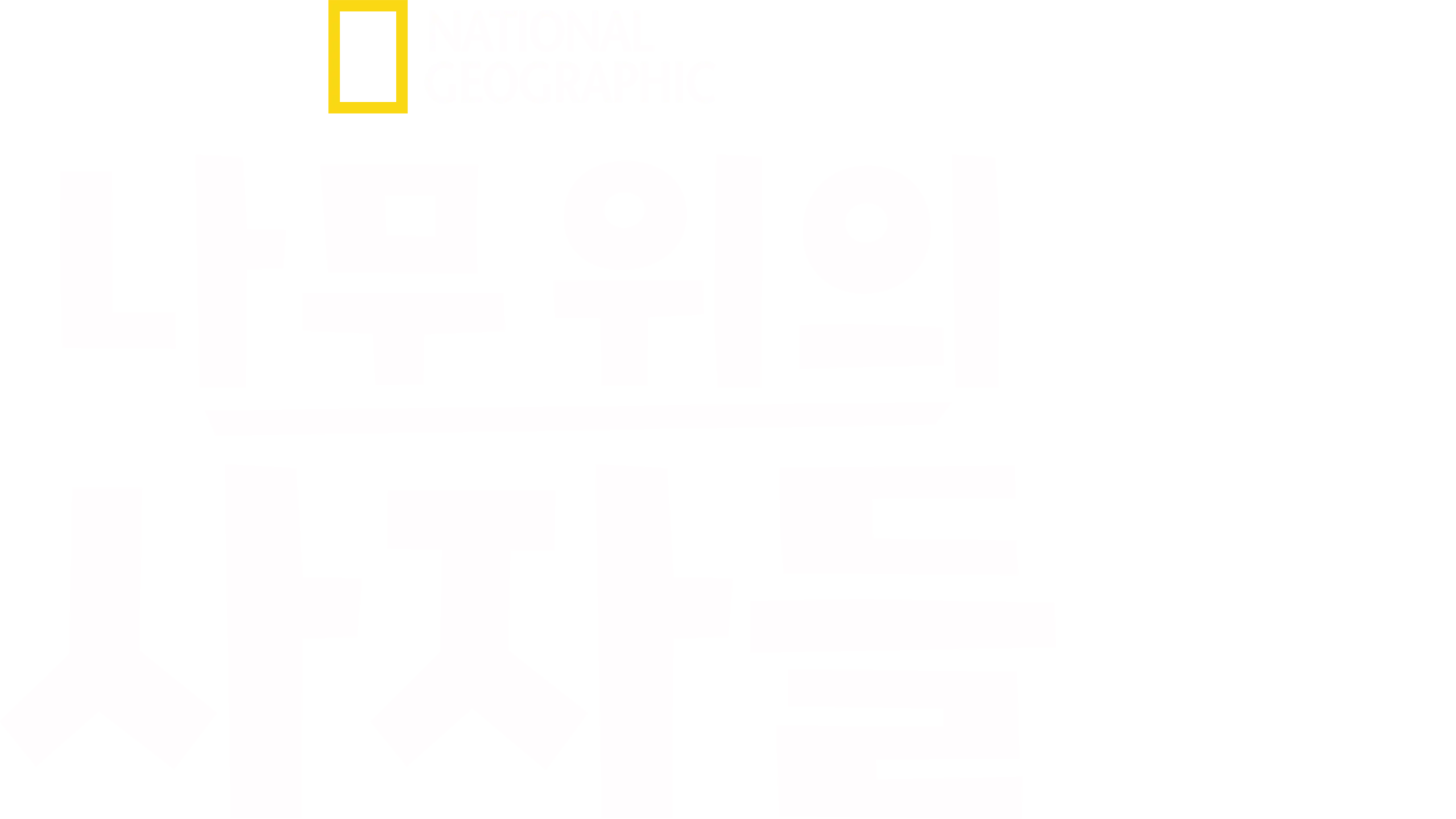 나무 위의 사자들