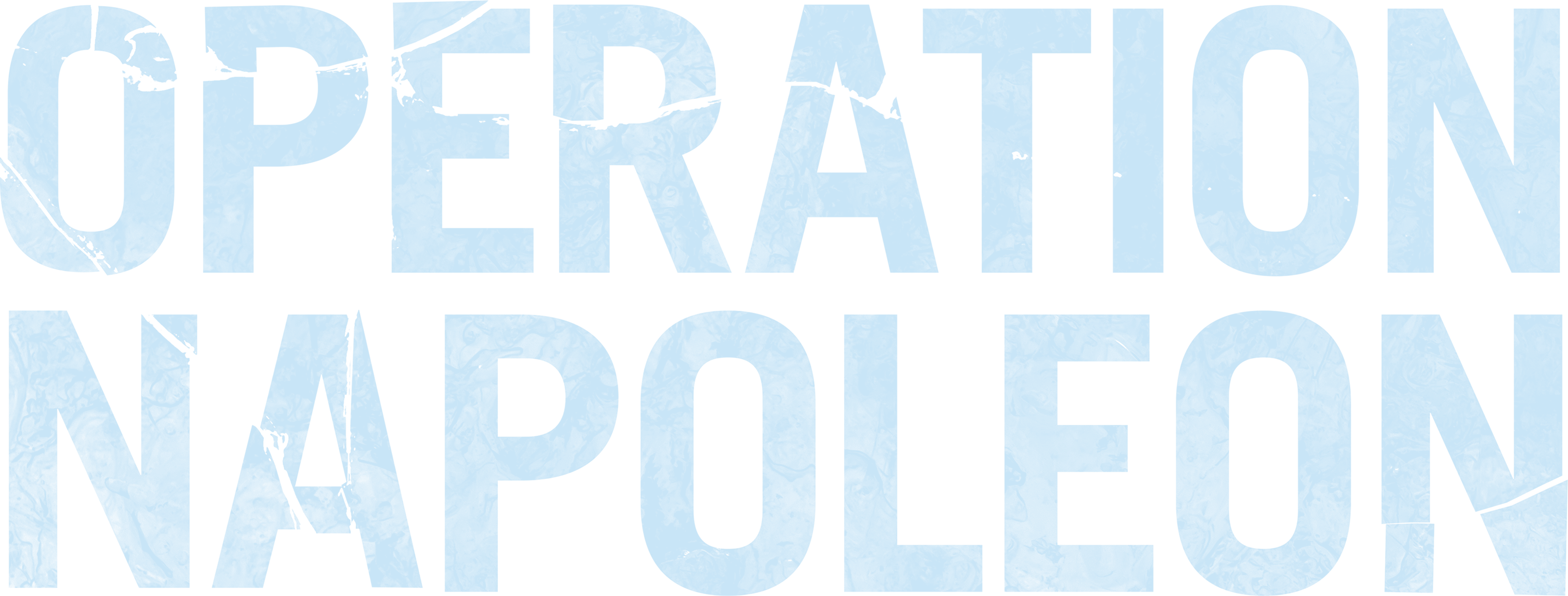 Operation Napoleon