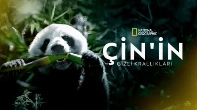 thumbnail - Çin'in Gizli Krallıkları