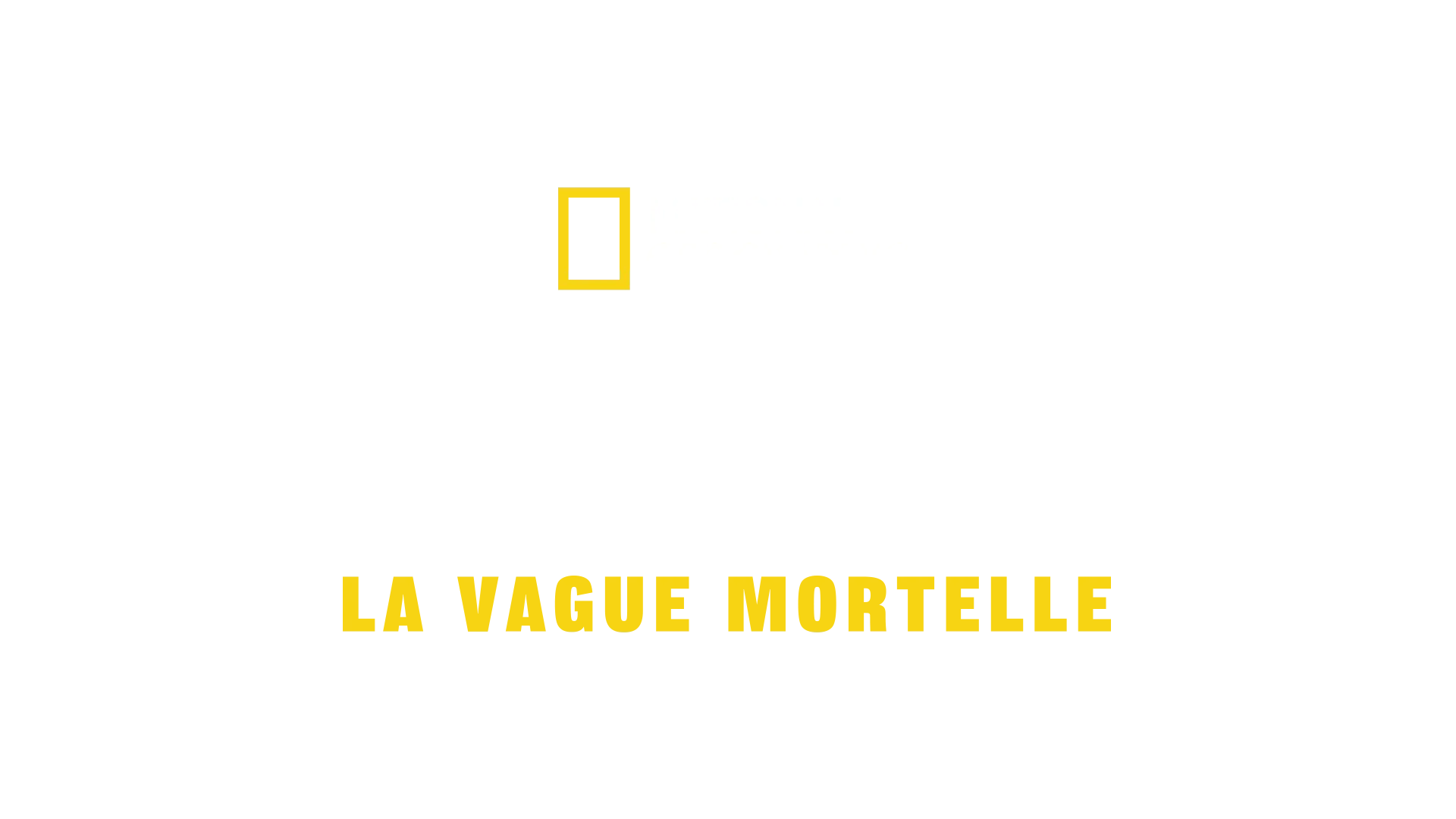 Tsunami 2004 : La vague mortelle